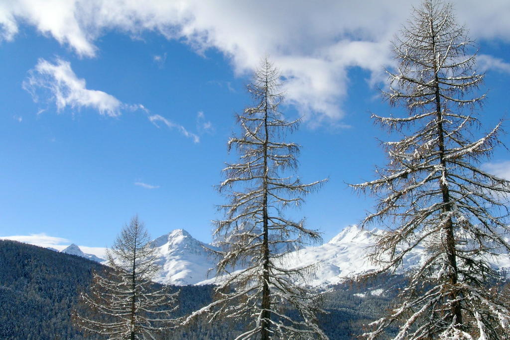 Apartament Chesa La Furia Pontresina Zewnętrze zdjęcie